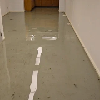 Water cleanup and emergency response context from a Langley-area service call.